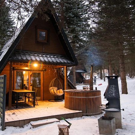 Villa Oliwne Wzgorza Stronie Śląskie Exterior foto