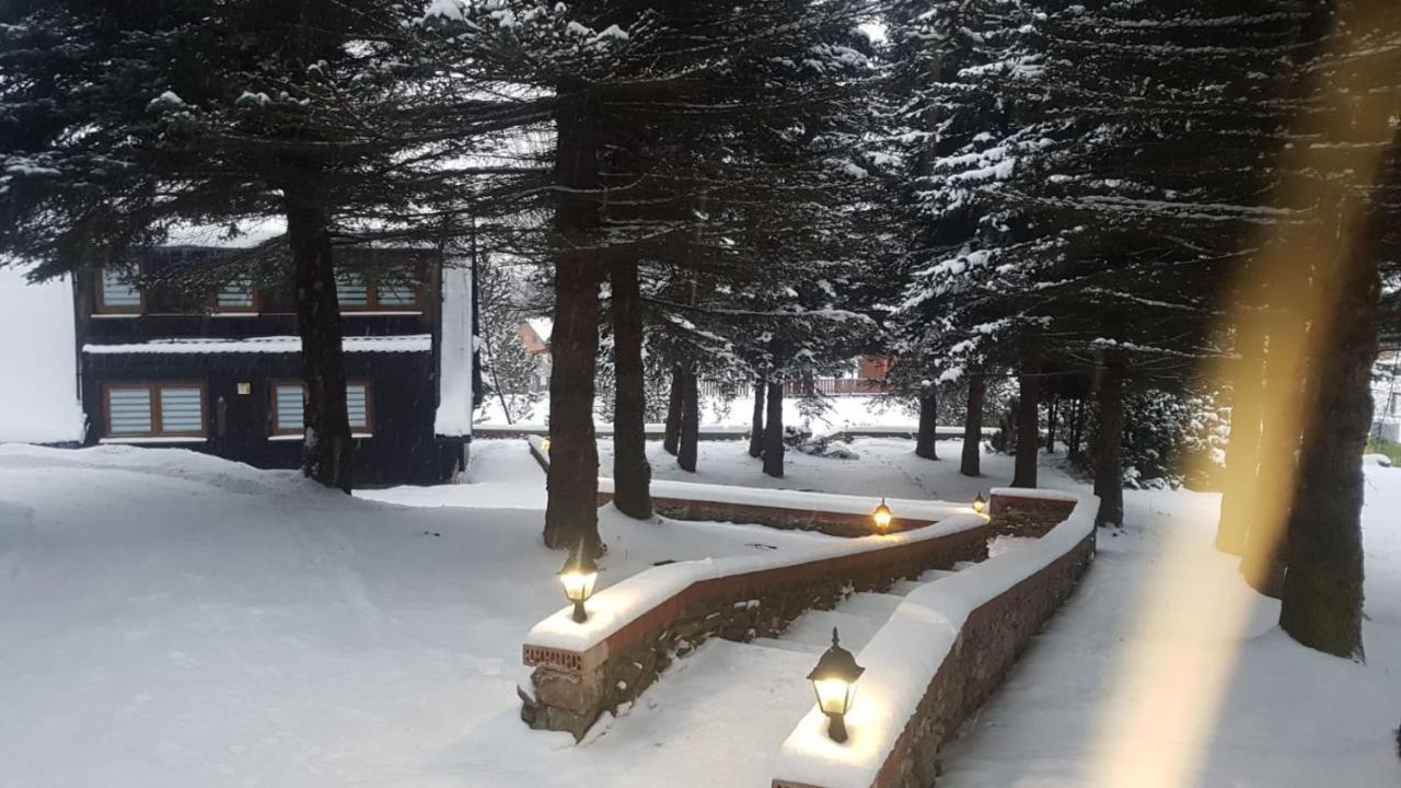 Villa Oliwne Wzgorza Stronie Śląskie Exterior foto